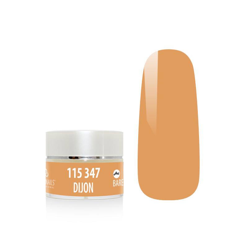 Barevný gel - DIJON - 5 g